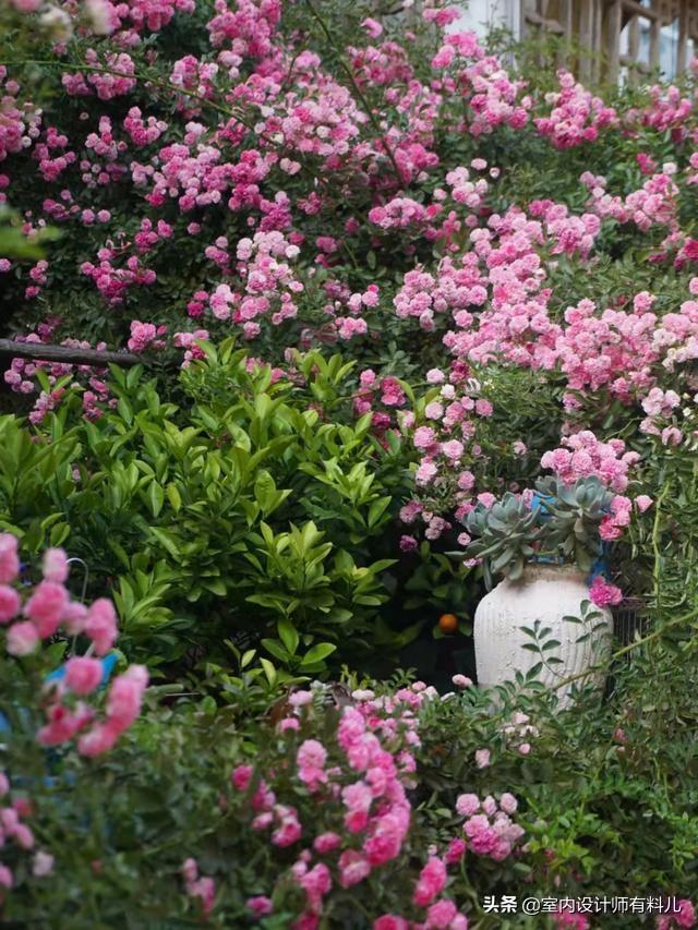 小冀亞華桂竹花園裝修效果_露臺花園裝修效果圖片_一樓花園裝修效果圖